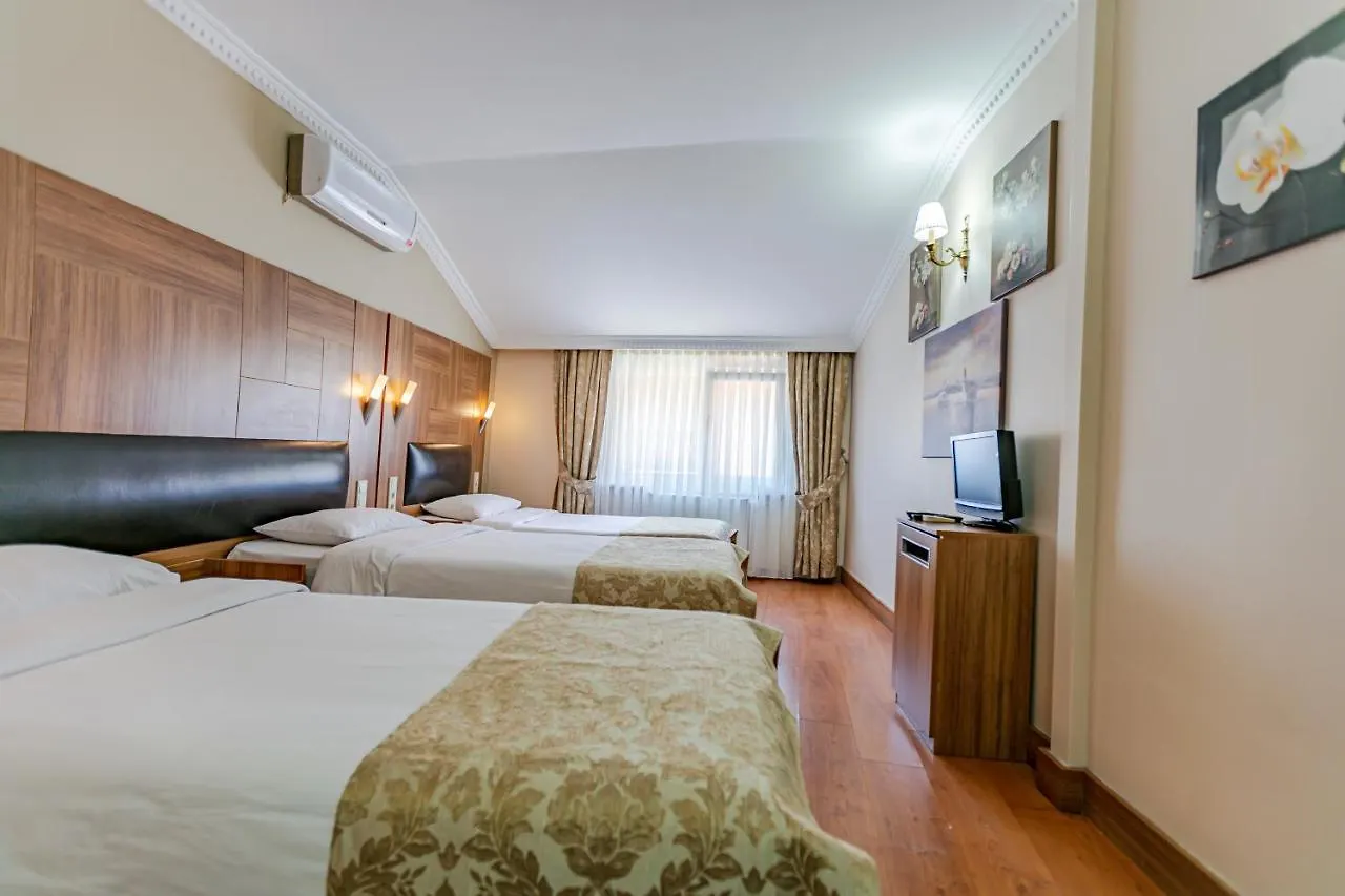 Elasophia Hotel اسطنبول 2*,