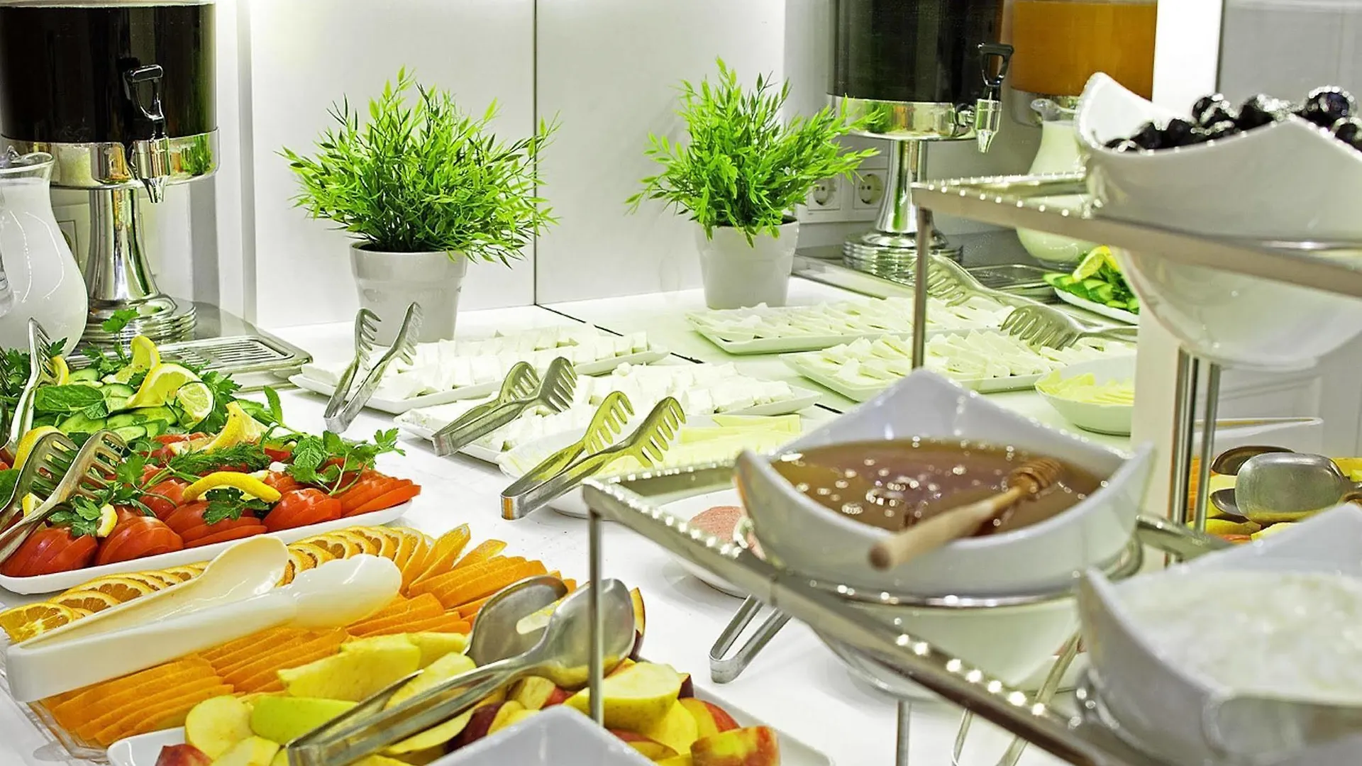 Elasophia Hotel اسطنبول