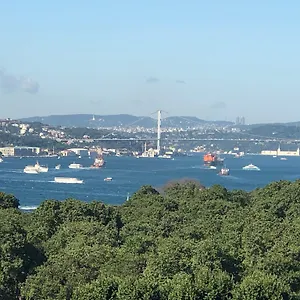 Albatros Hagia Sophia Isztambul