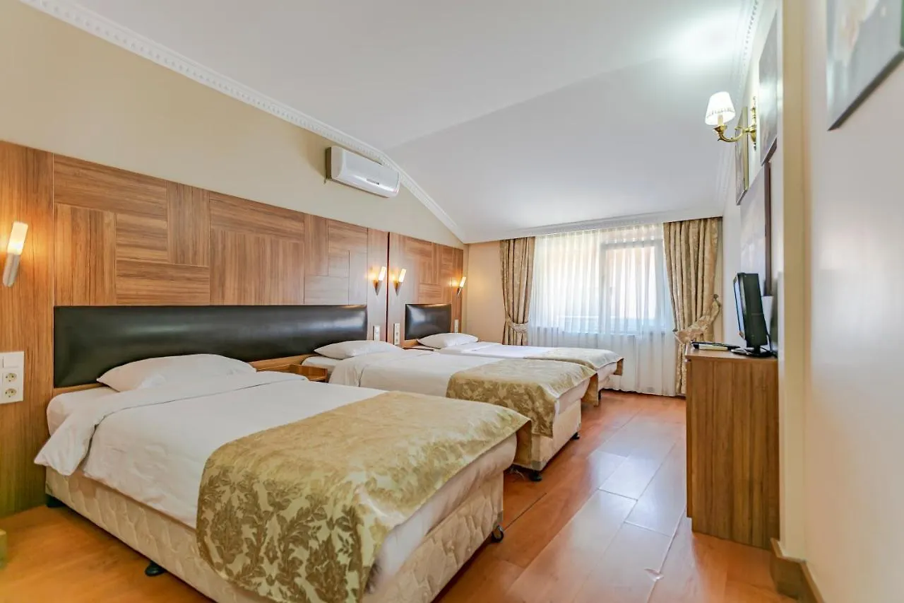 Elasophia Hotel Istanbul 2*,